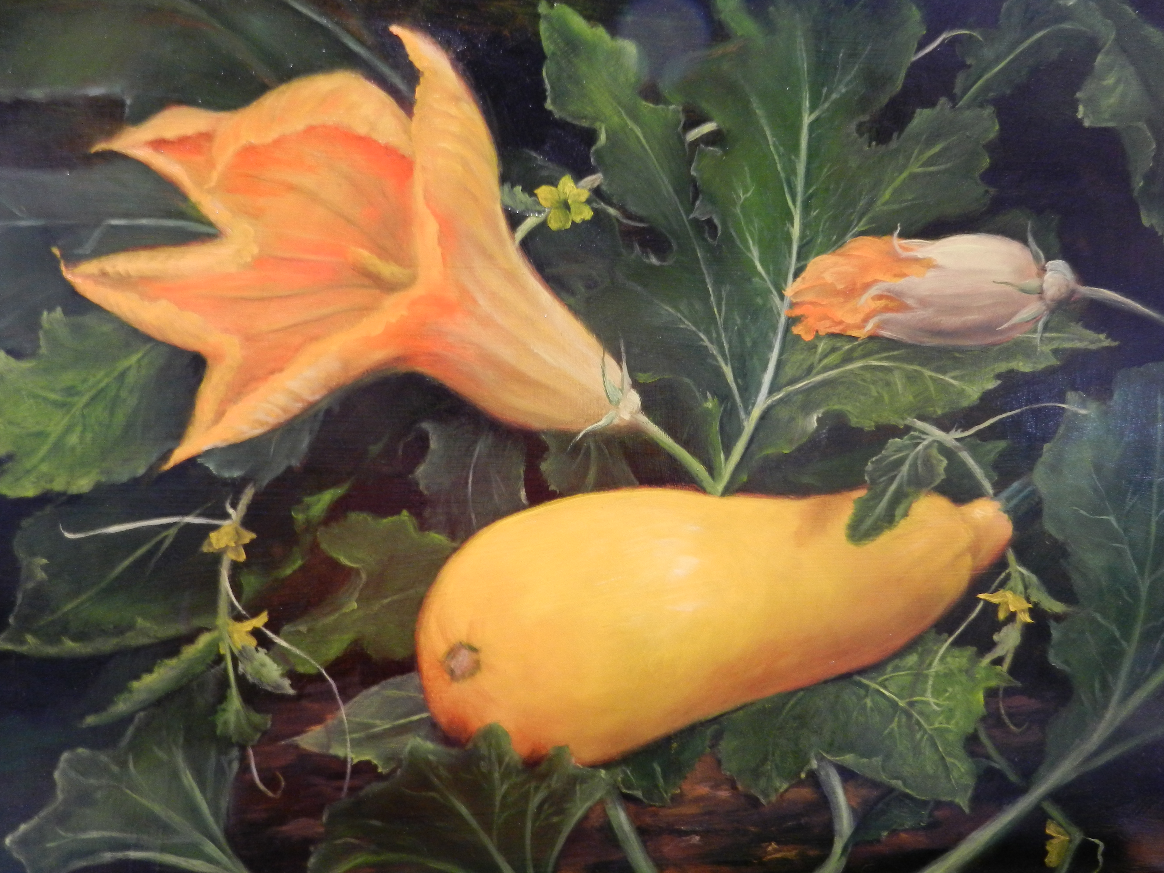 Summer Squash