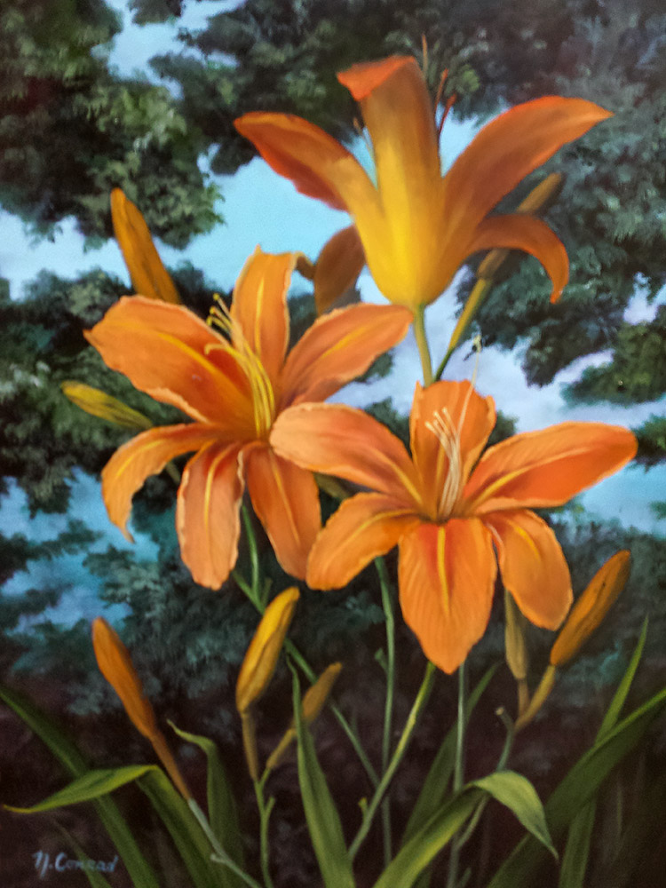 Tiger Lilies